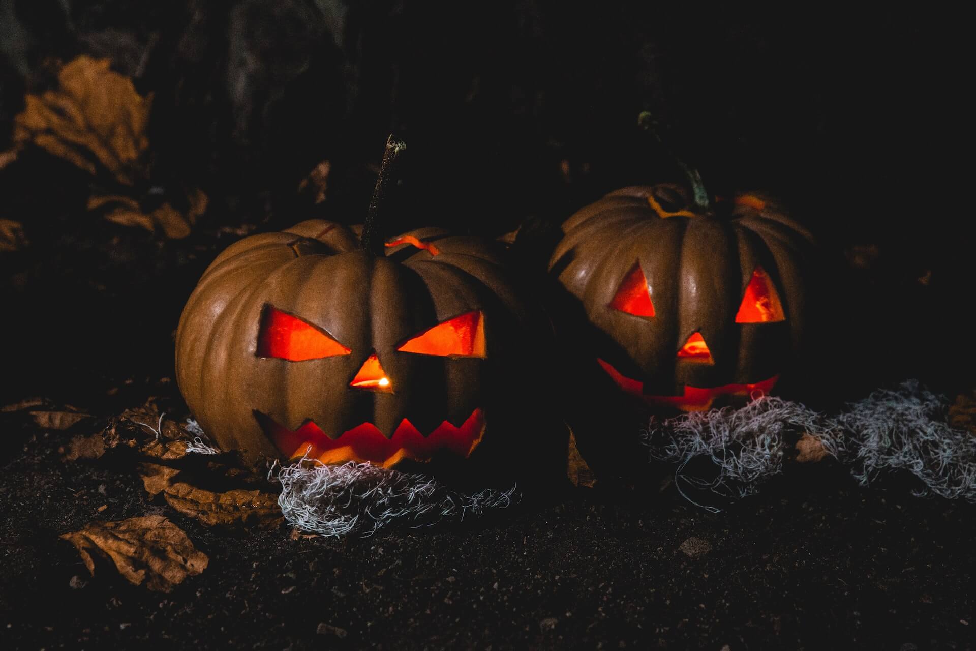 Two horror pumpkins
